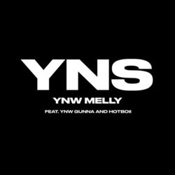 Cover of Yung Nigga Shit (feat. YNW Gunna & Hotboii)
