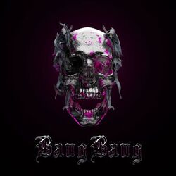 Cover of Bang Bang