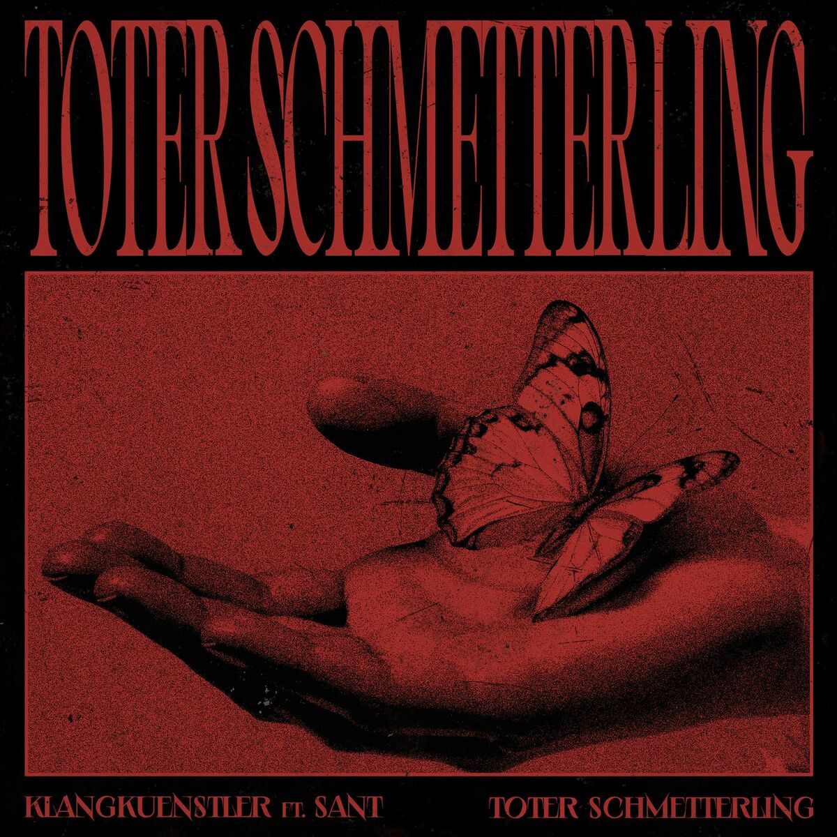 Album cover of Toter Schmetterling