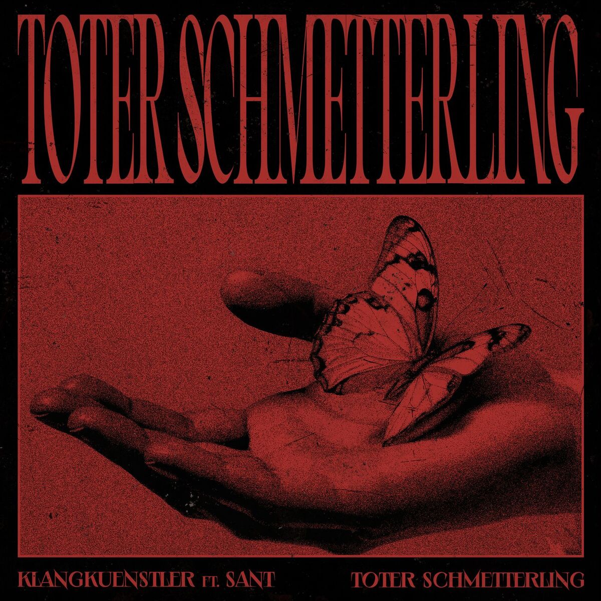 Album cover of Toter Schmetterling (Single Edit)