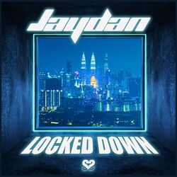 Cover of Locked Down