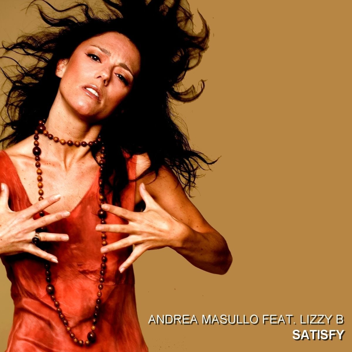 Album cover of Satisfy