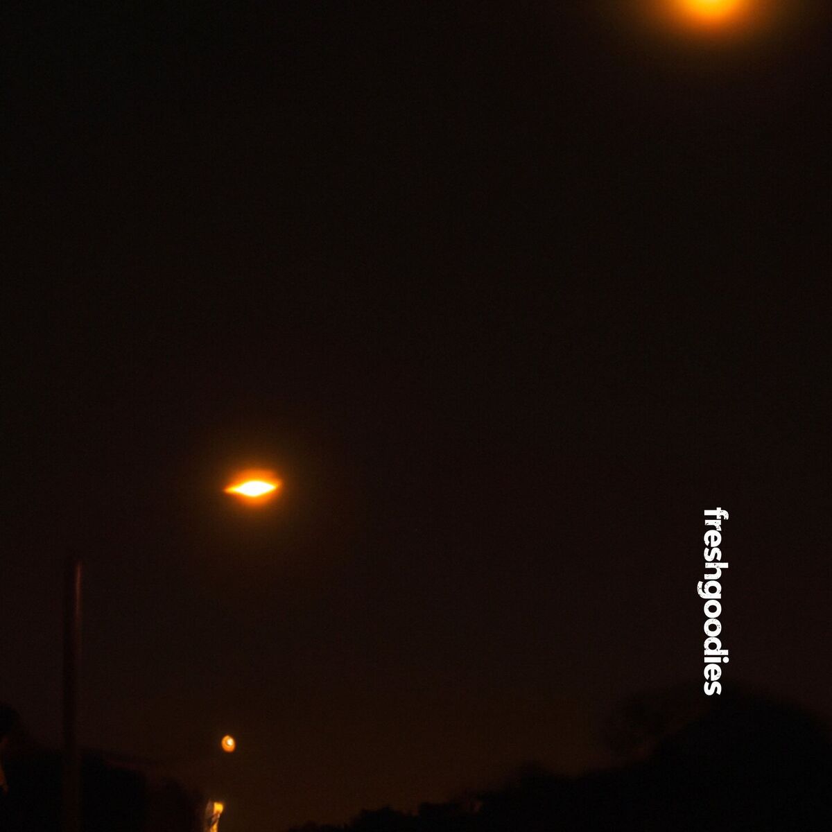 Album cover of Halo