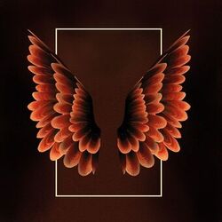 Cover of Wings / Back To Africa