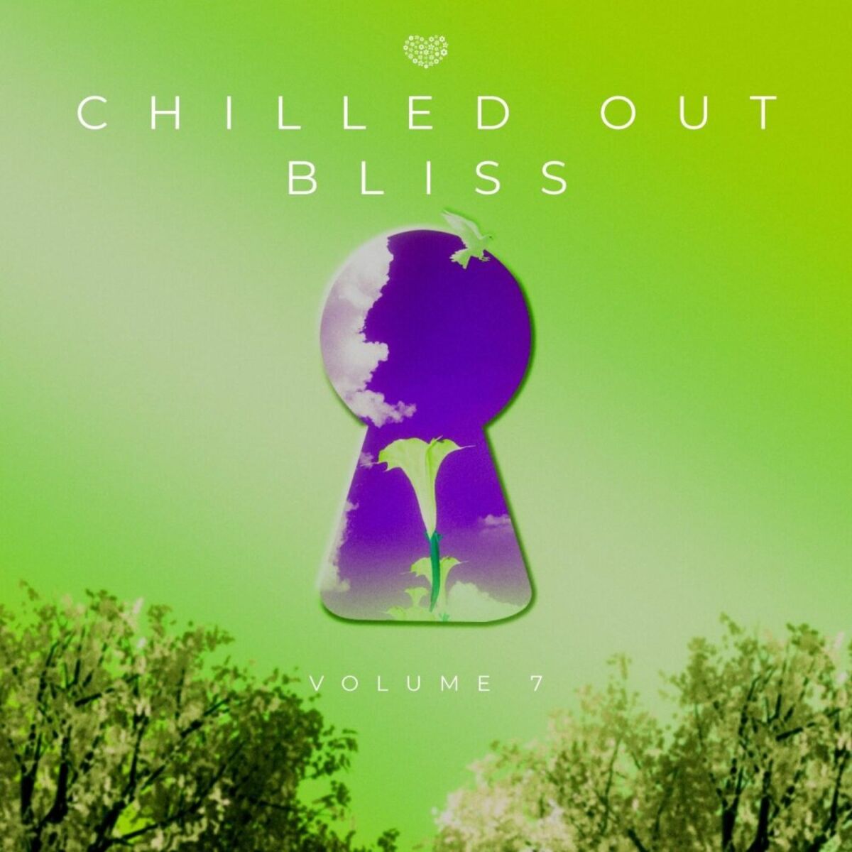 Album cover of Chilled Out Bliss 007