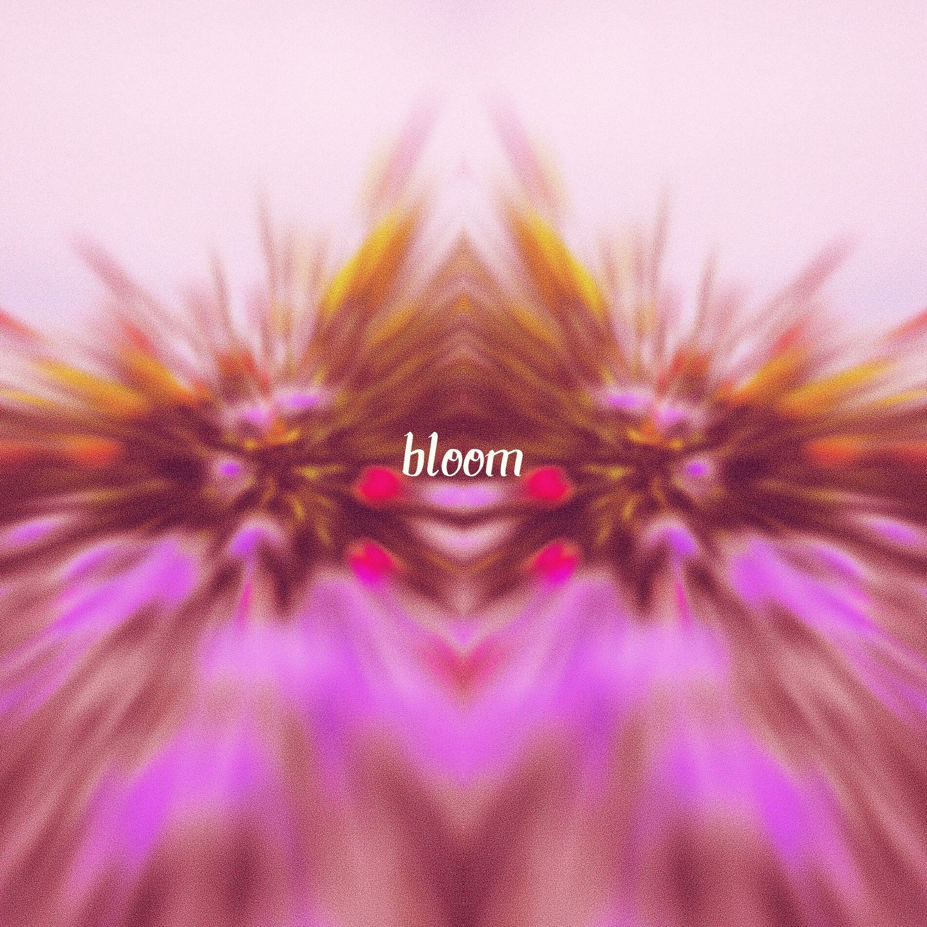 Album cover of bloom