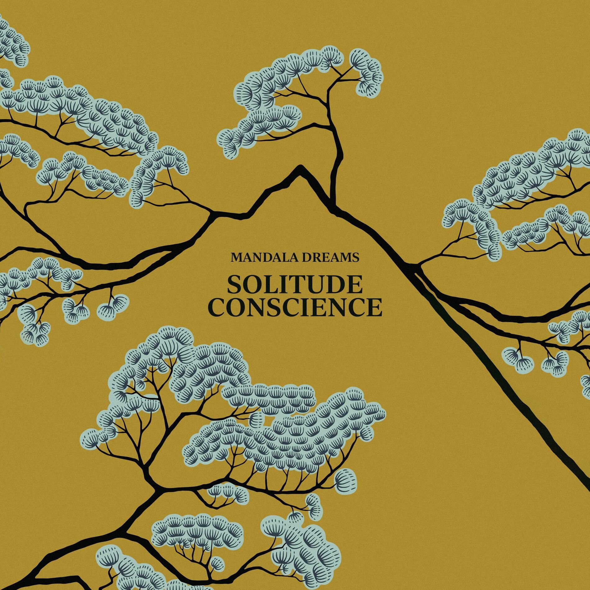 Album cover of Solitude Conscience