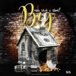 Cover of BIG