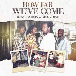 Cover of How Far We've Come
