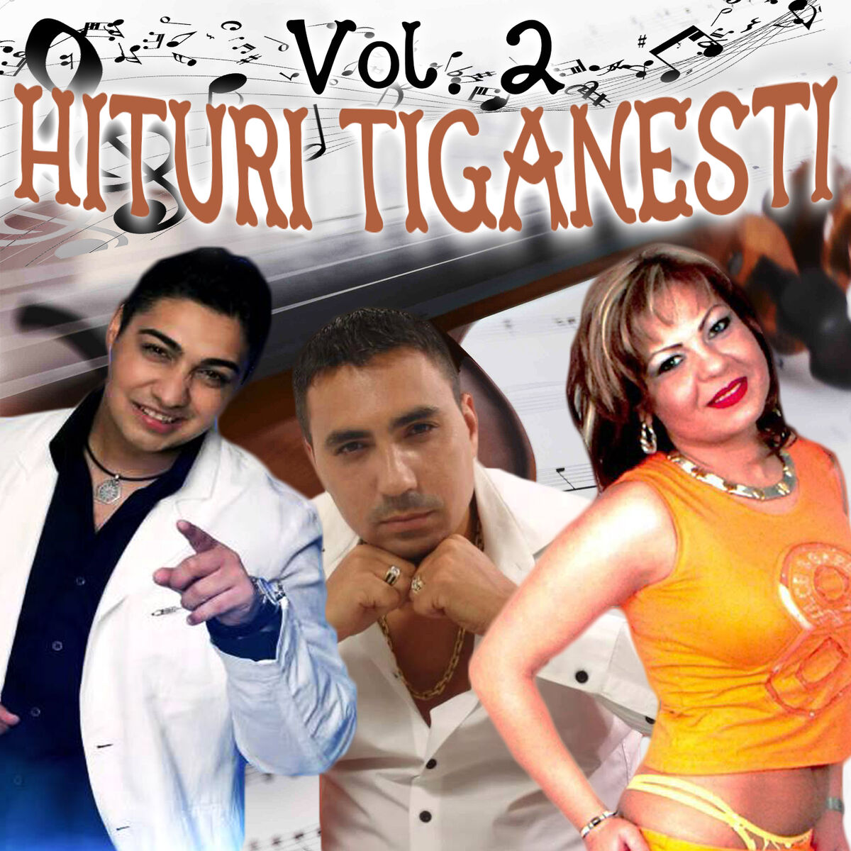 Album cover of Hituri Tiganesti, Vol. 2