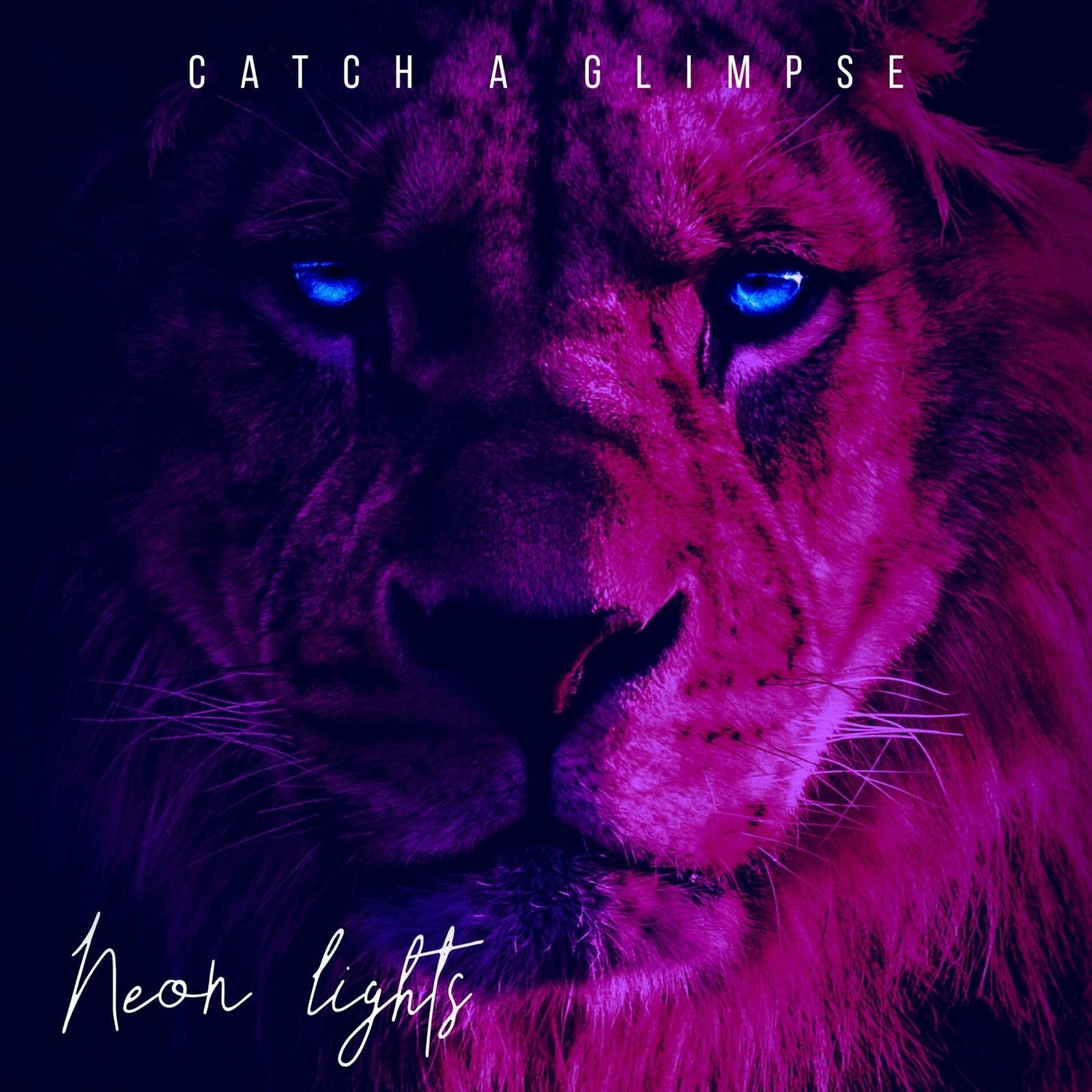 Album cover of Neon Lights