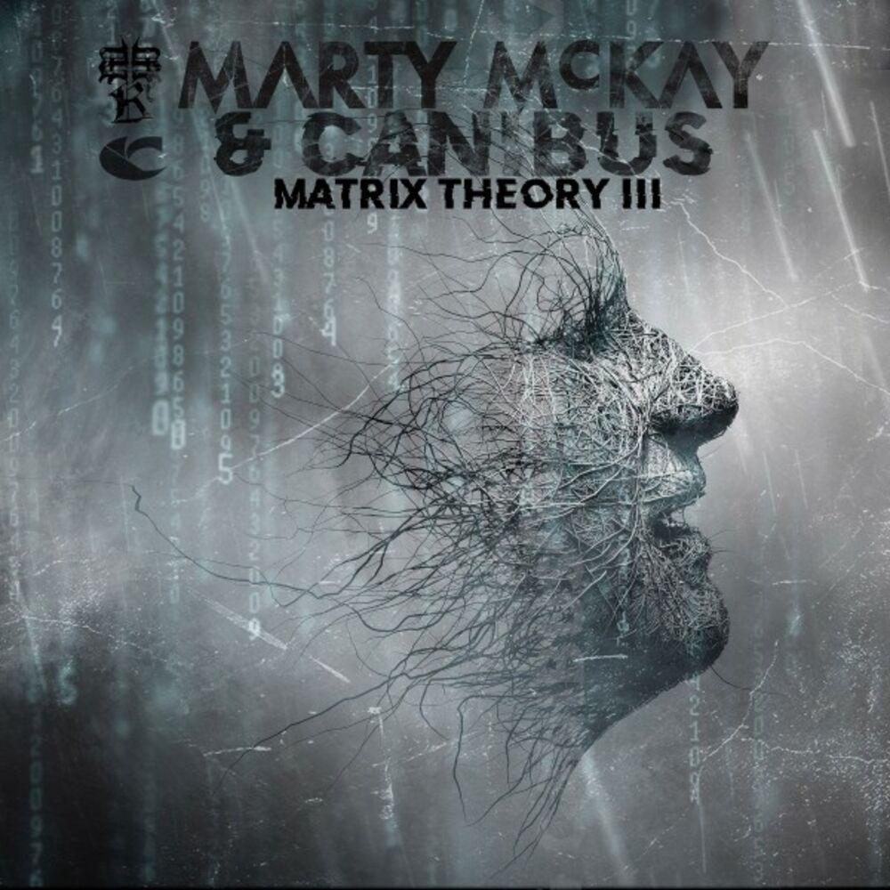 Picture of Matrix Theory III