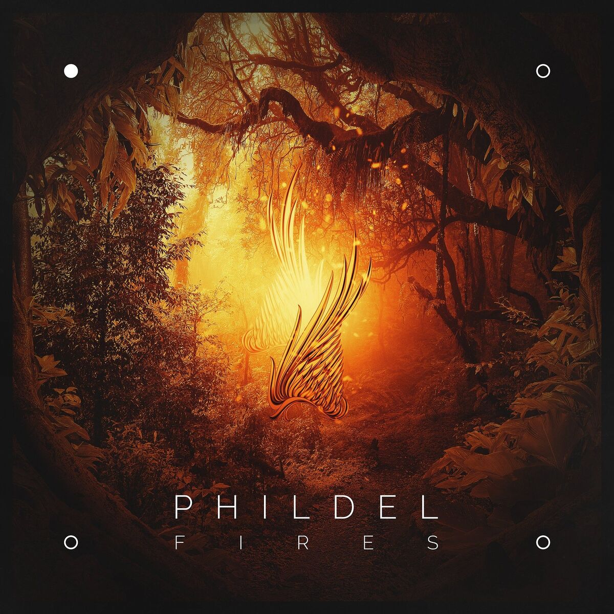 Album cover of Fires