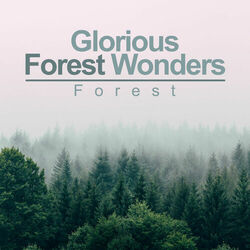 Cover of Glorious Forest Wonders
