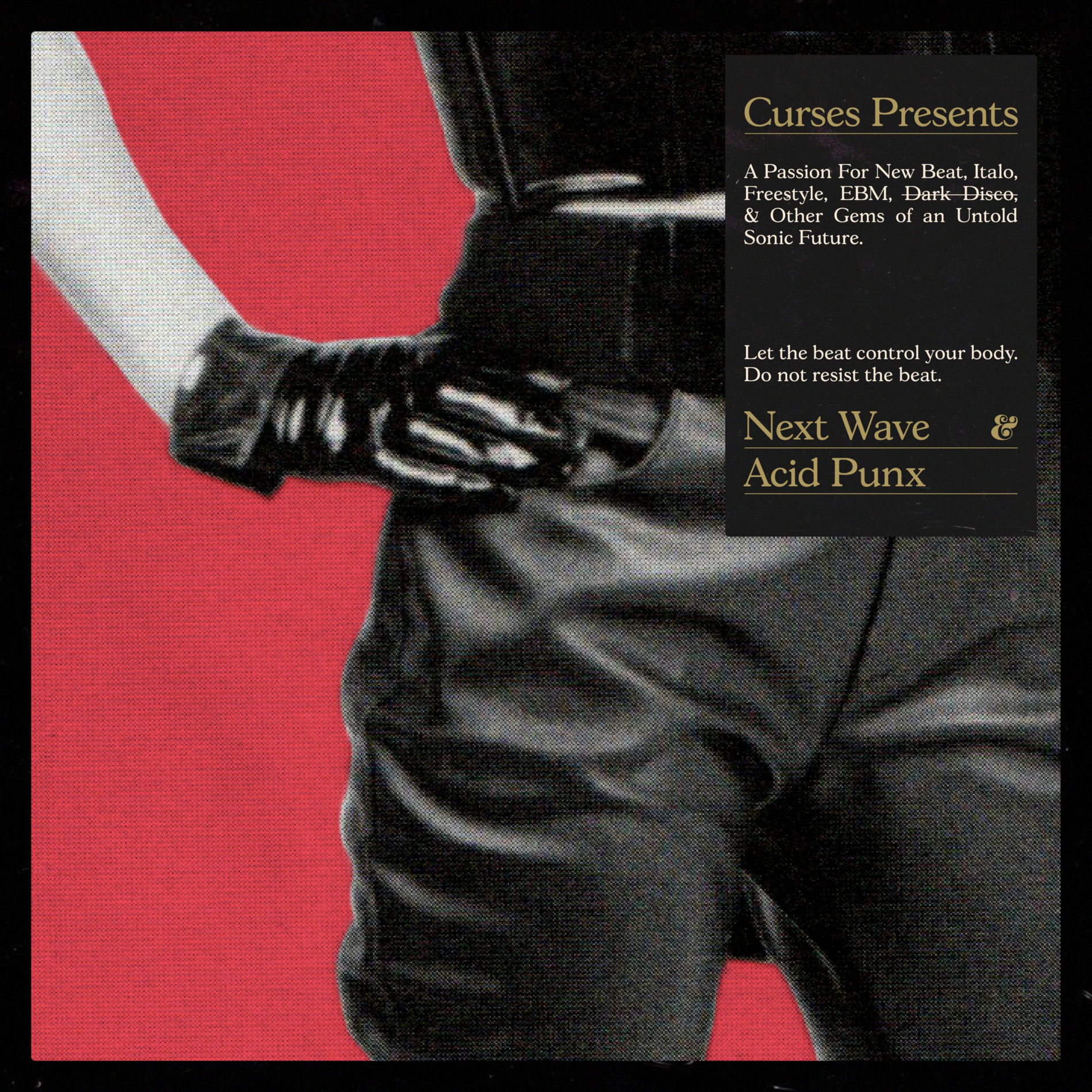 Album cover of Next Wave Acid Punx
