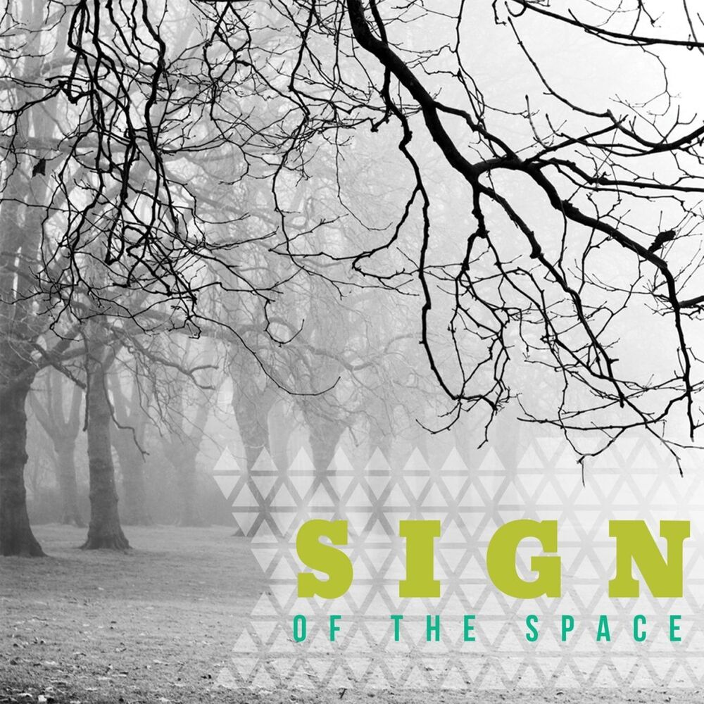 Picture of Sign of the Space