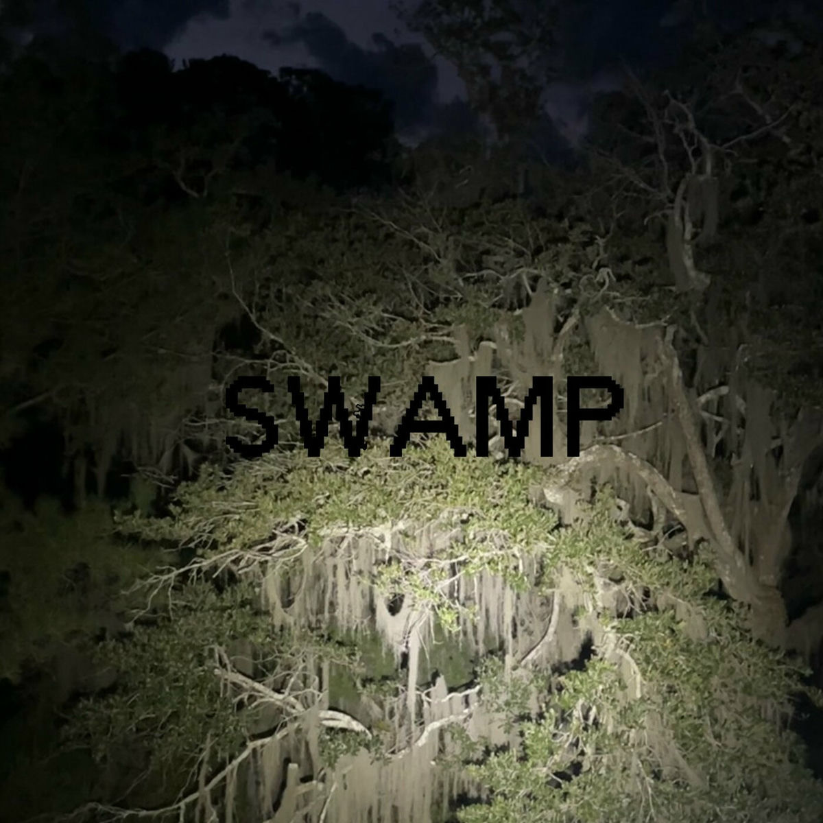 Album cover of SWAMP