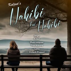 Cover of Nahibi Toi Nahibi