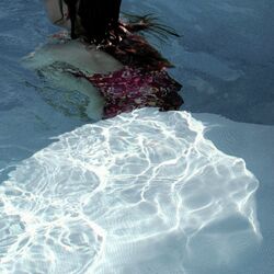 Cover of Cascades