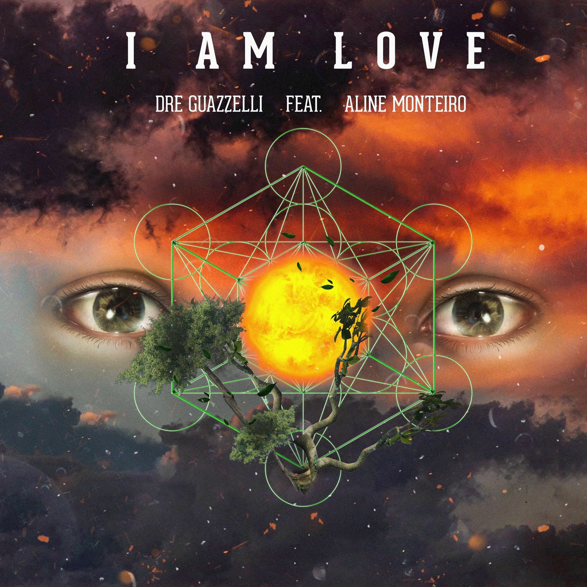 Album cover of I Am Love
