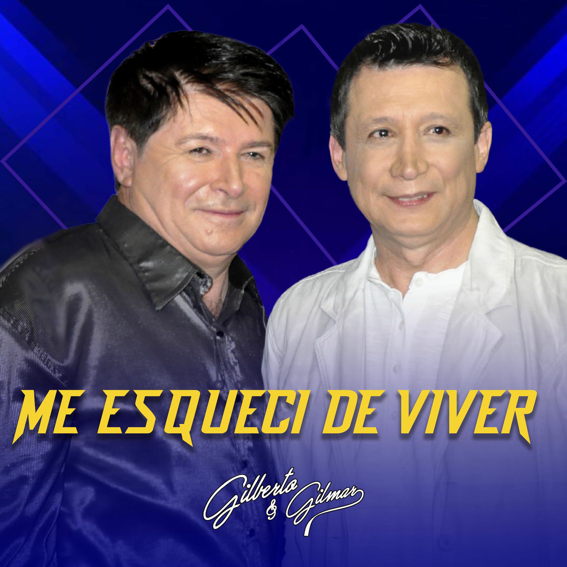 Album cover of Me Esqueci de Viver