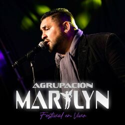 Cover of Festival (En Vivo)