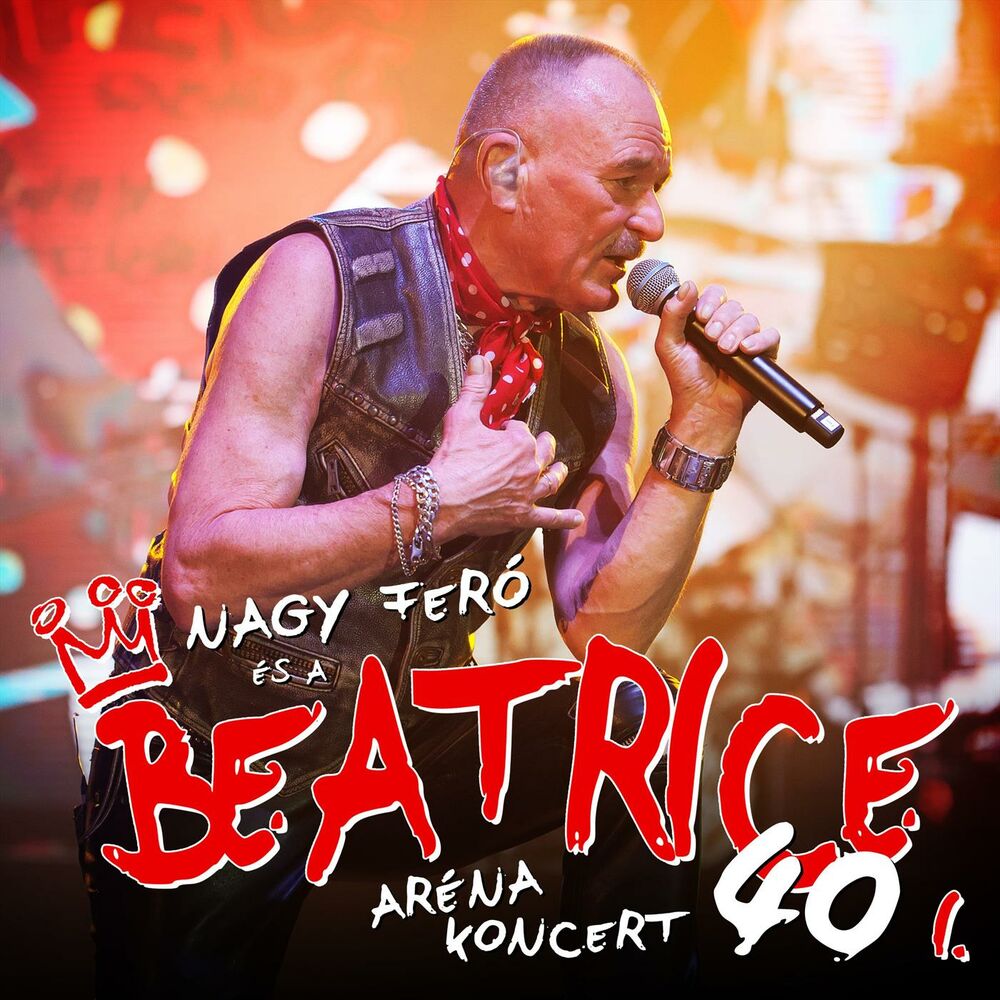 Picture of 40 - Aréna koncert I.