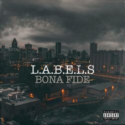 Cover of Labels