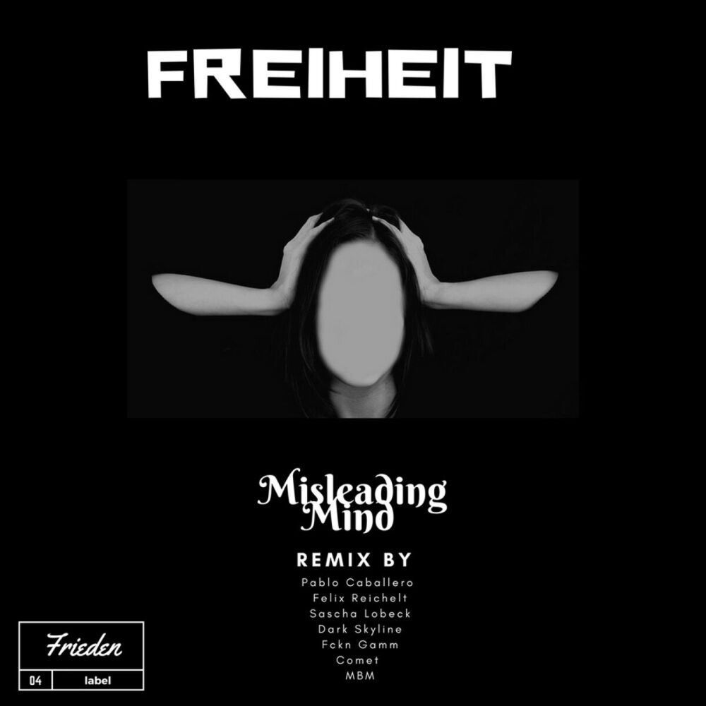 Picture of Misleading Mind