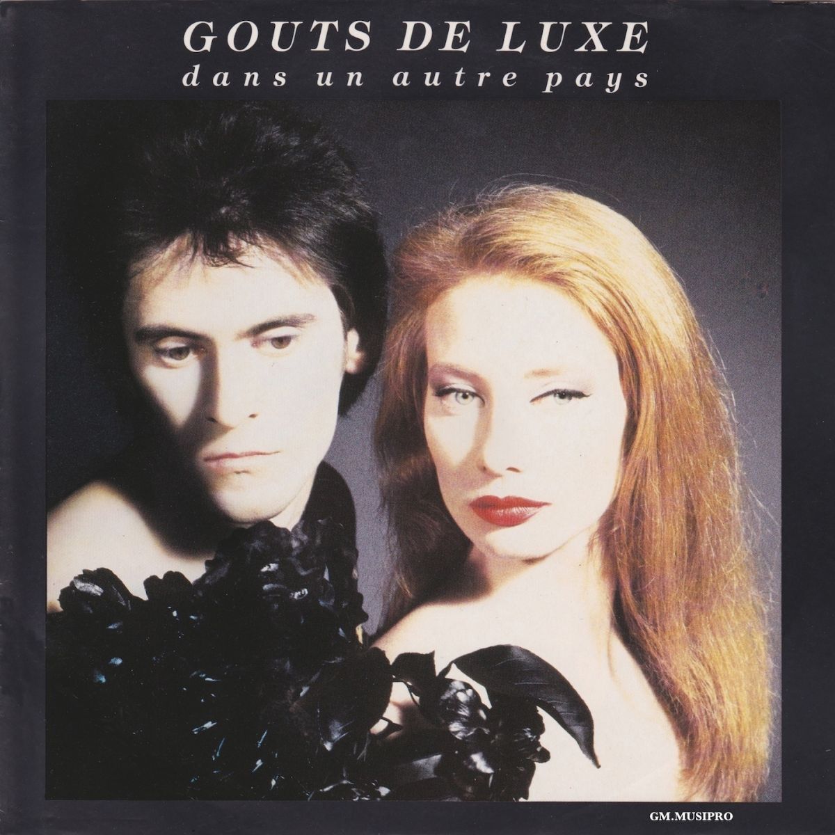 Album cover of Dans un autre pays
