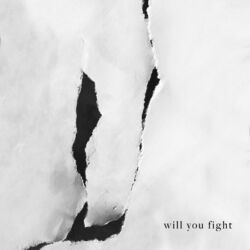 Cover of Will You Fight