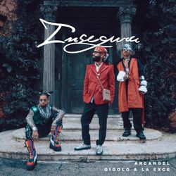 Cover of Insegura