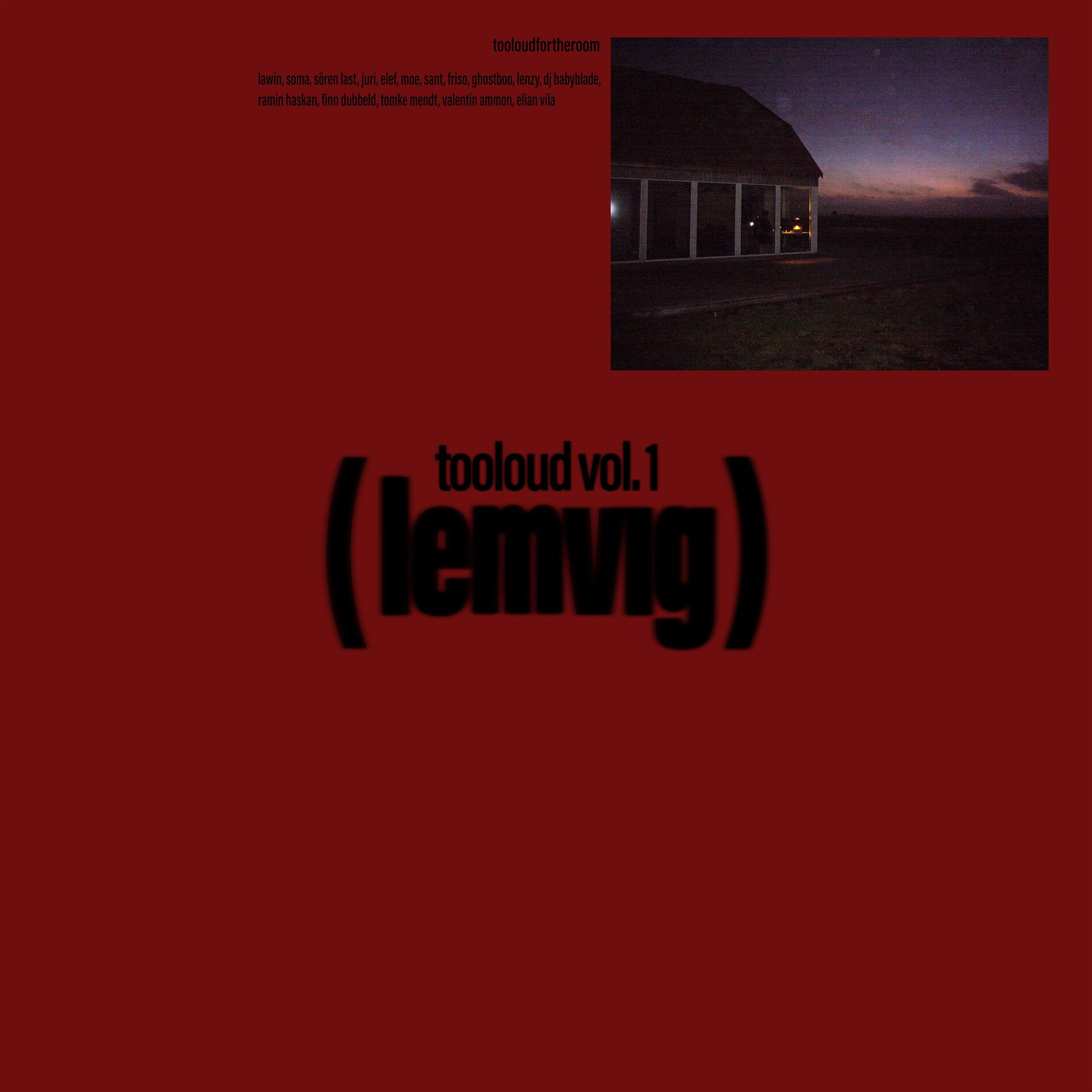 Album cover of tooloud vol.1 (lemvig)