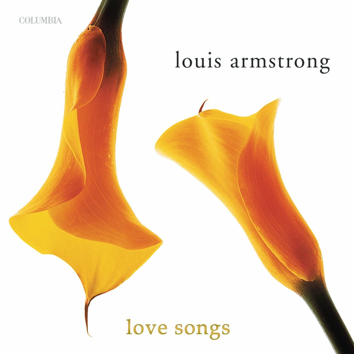 Album cover of Love Songs