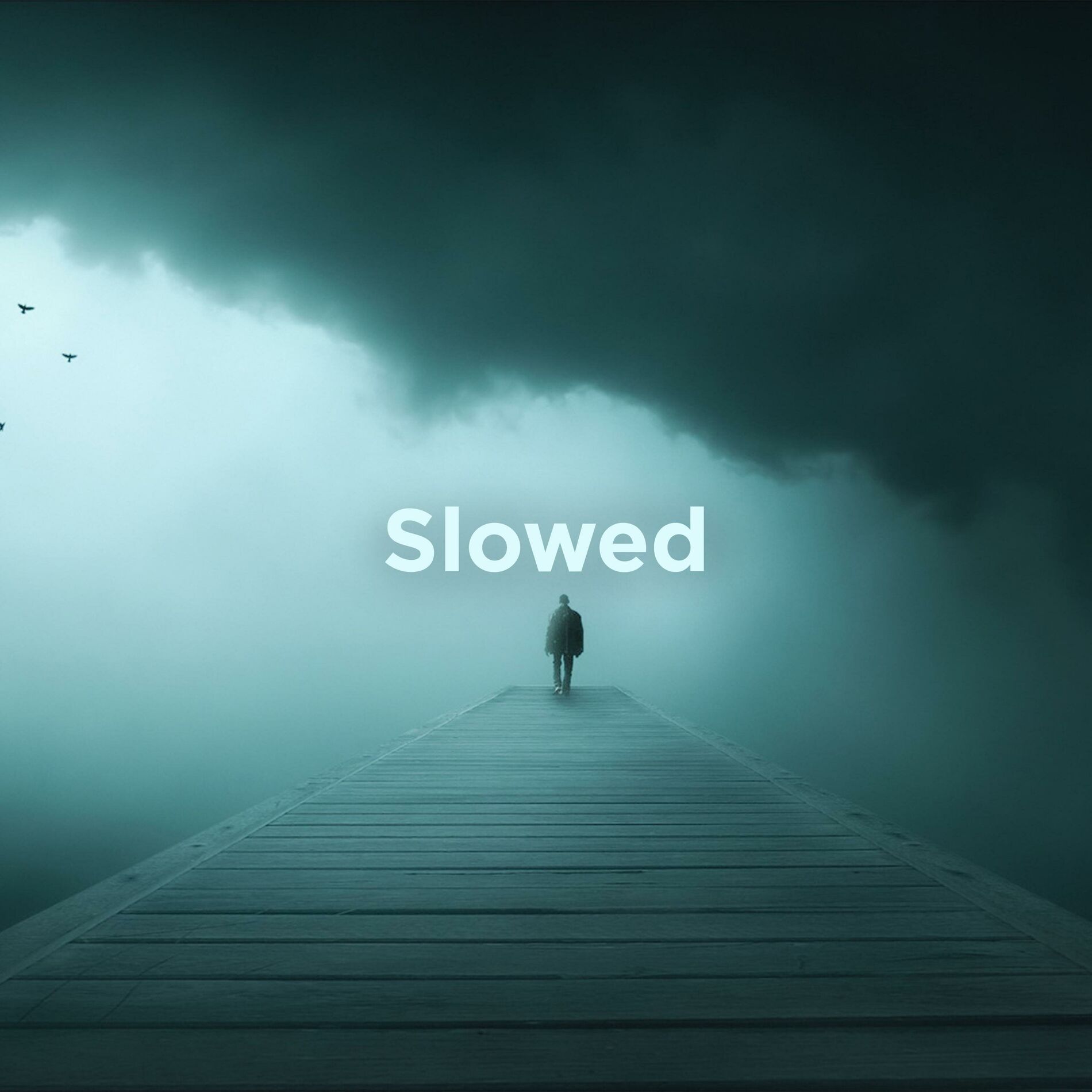 Album cover of endless (Slow version)