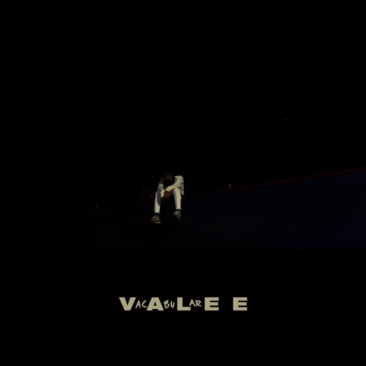 Album cover of VACABULAREE