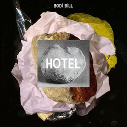 Cover of Hotel