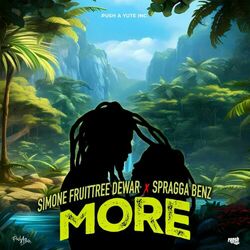 Cover of More