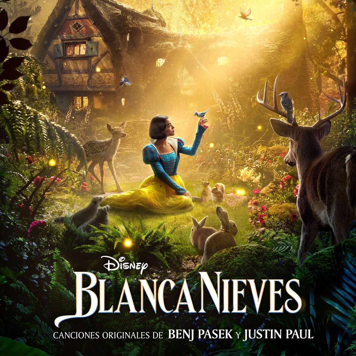 Album cover of Problemas Principescos