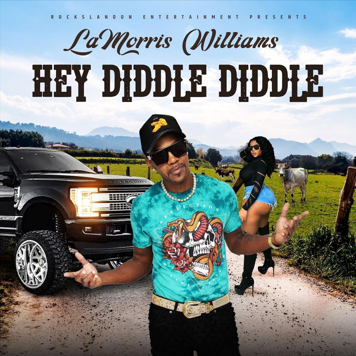 Album cover of Hey Diddle Diddle