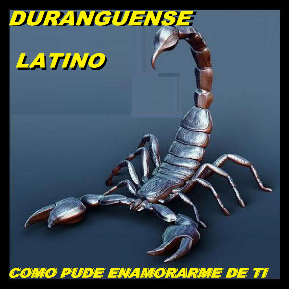 Picture of Como Pude Enamorarme De Ti