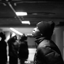 Cover of No Love