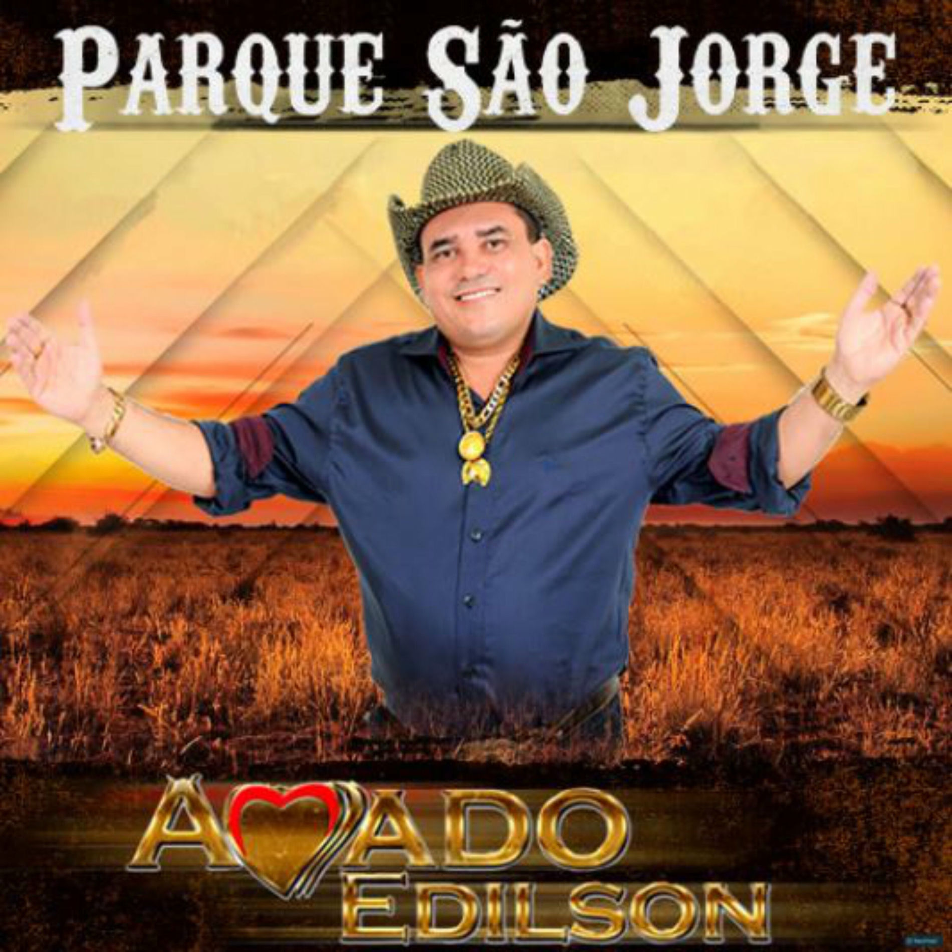 Album cover of Parque Sâo Jorge Ao Vivo