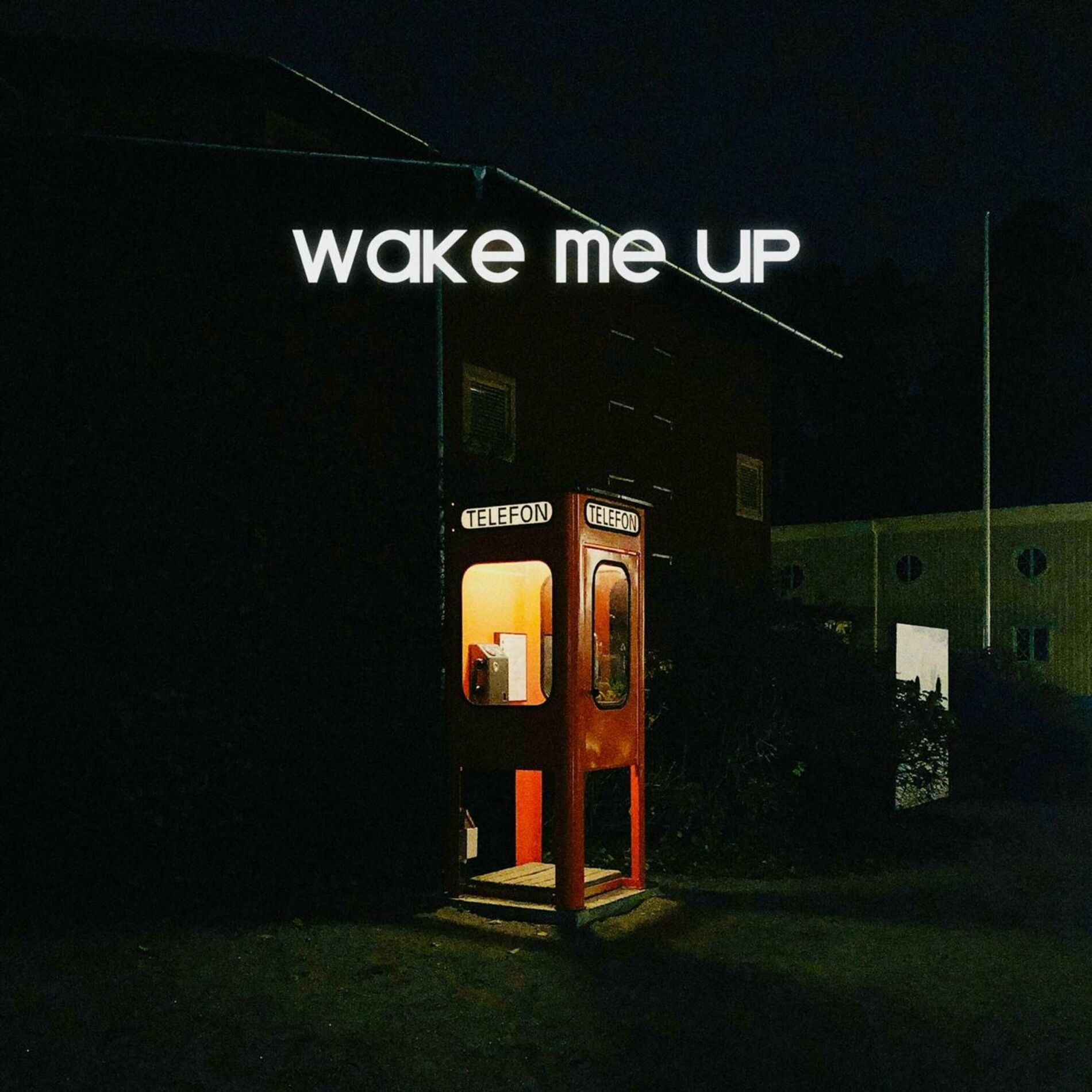 Album cover of Wake Me Up