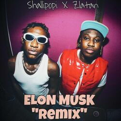 Cover of Elon Musk (Remix)