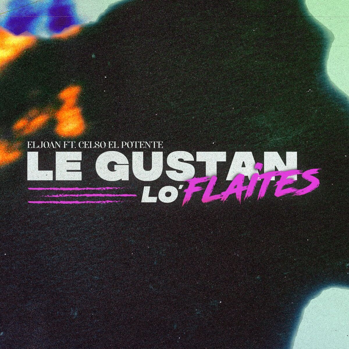 Album cover of Le Gustan Lo' Flaites