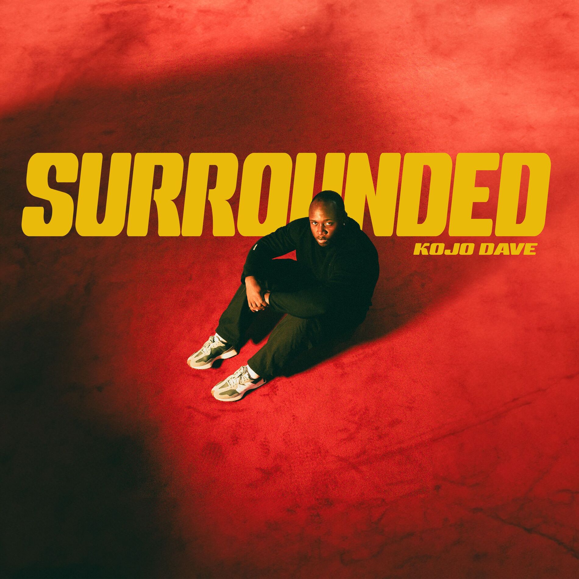 Album cover of Surrounded
