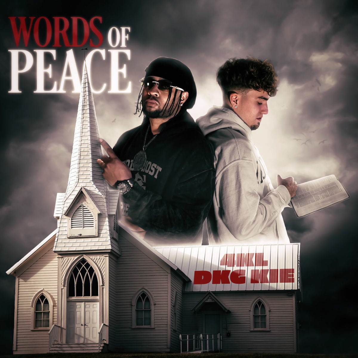 Album cover of WORDS OF PEACE