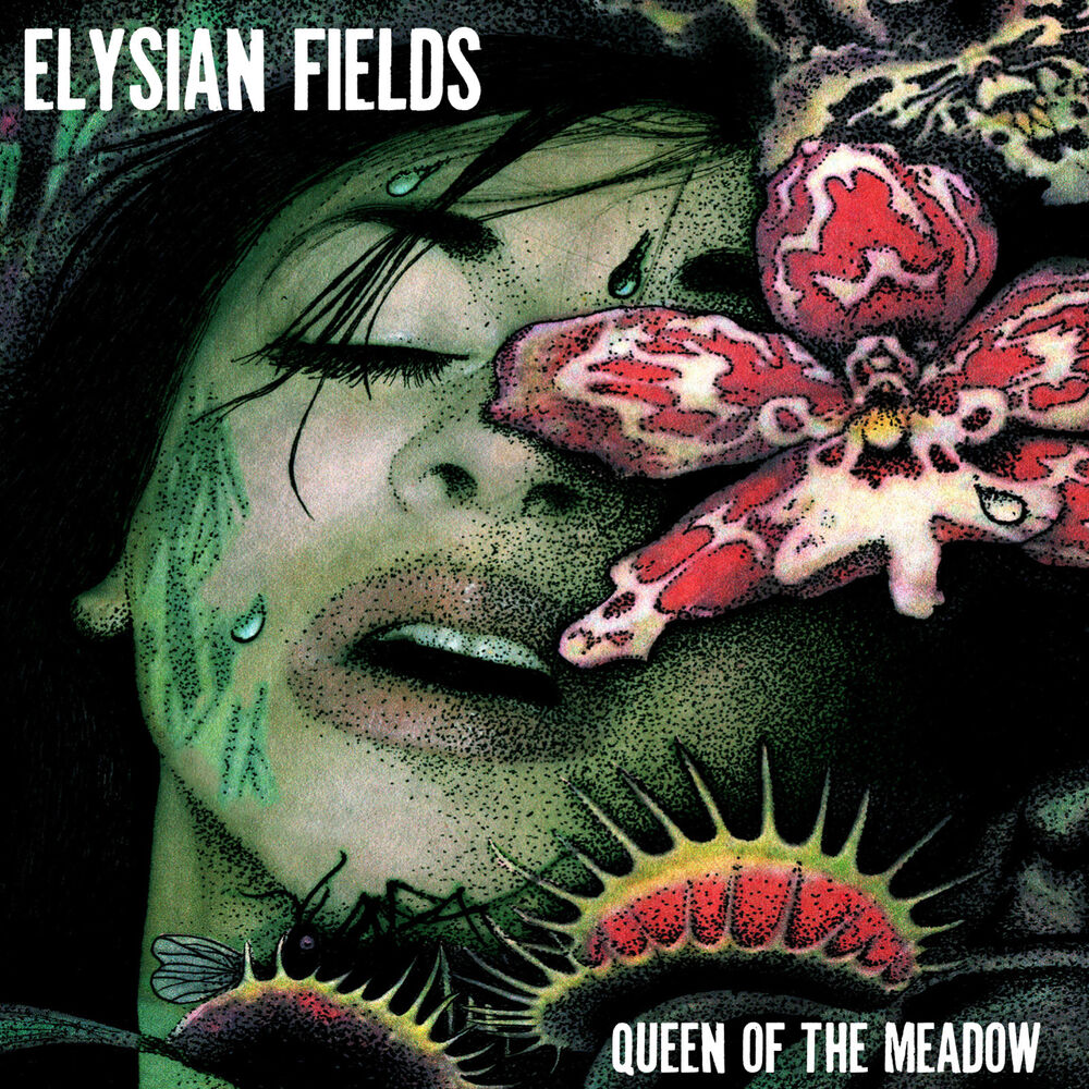 Picture of Queen of the Meadow