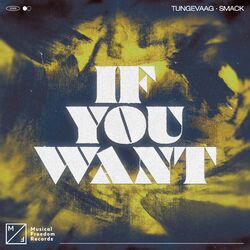 Cover of If You Want